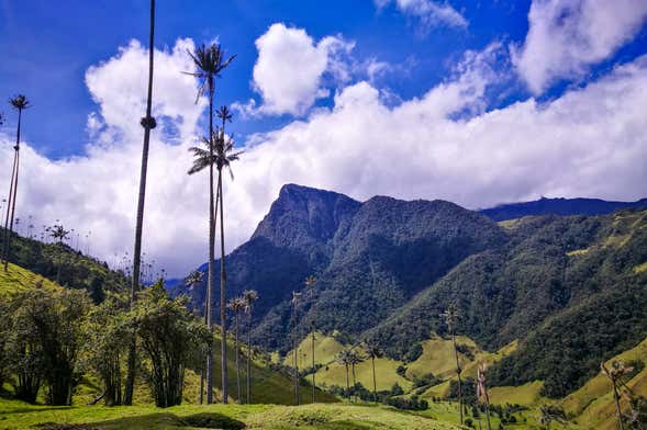 Cerro Morrogacho Reserve Tour