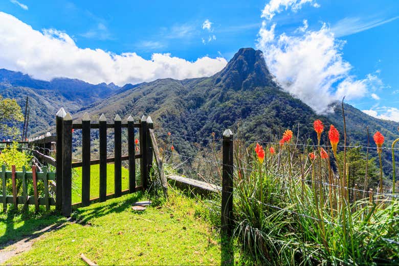 Cocora Valley viewpoint