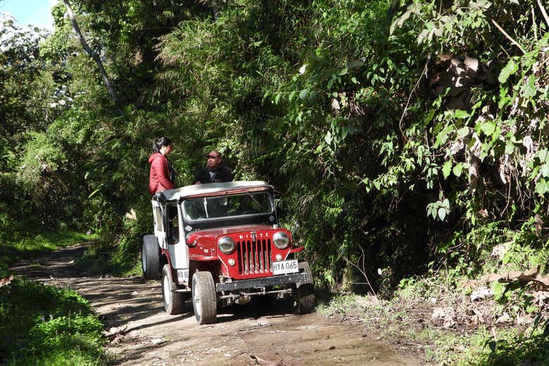 Viajando en 4x4 para buscar aves