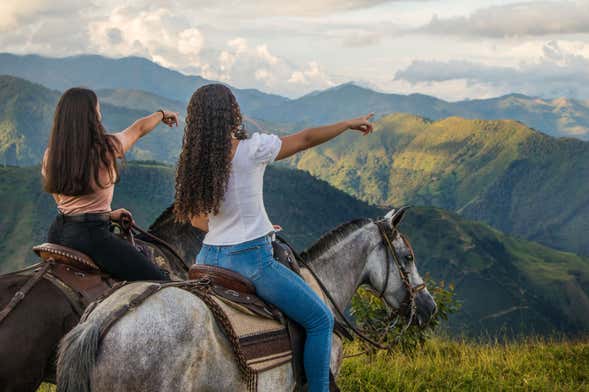 Horseback Riding Salgar Coffee Plantation