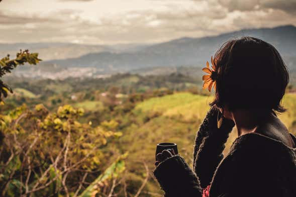 Tour del café por la finca Tierra Activa