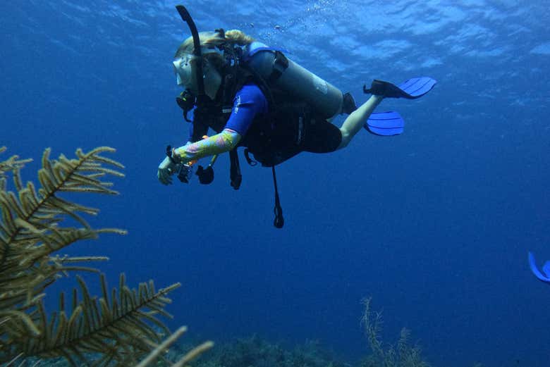 Scuba Dive in San Andrés' beautiful waters