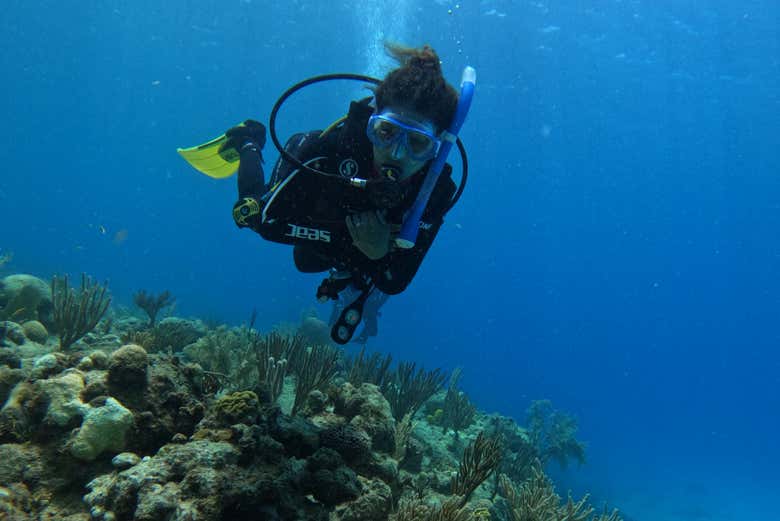 San Andrés diving course