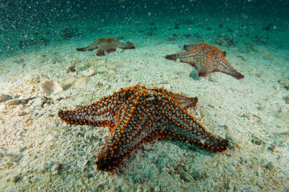 Seawalker em San Andrés