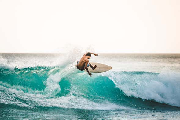 Curso de surf en Palomino