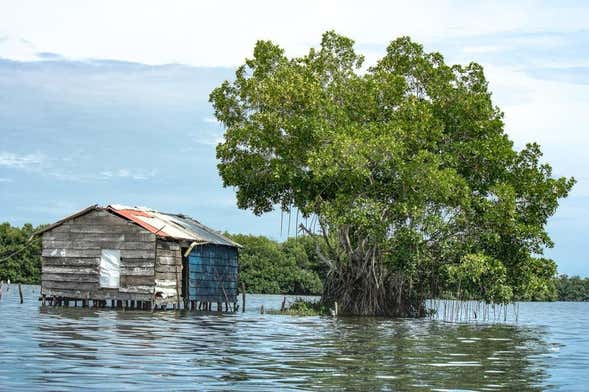 Excursión a los pueblos palafitos de Ciénaga