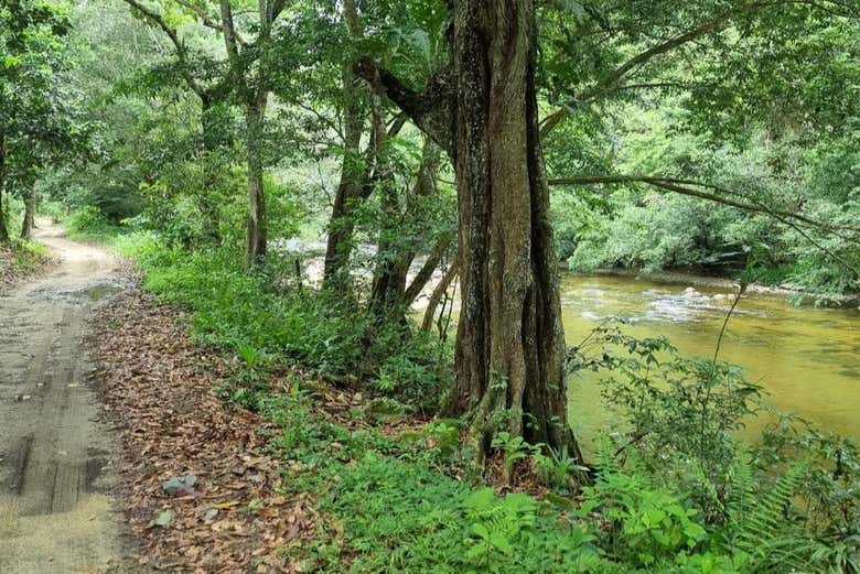 Siguiendo el cauce del río Mendihuaca