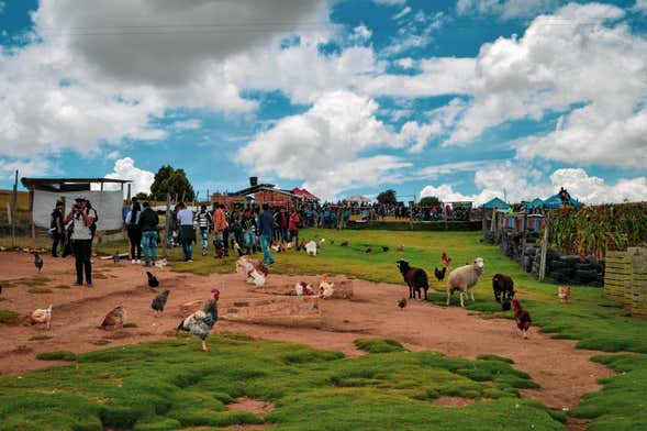 Tour rural y de aventura por Tunja