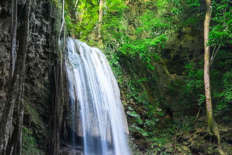 The department of Meta stands out for its waterfalls.