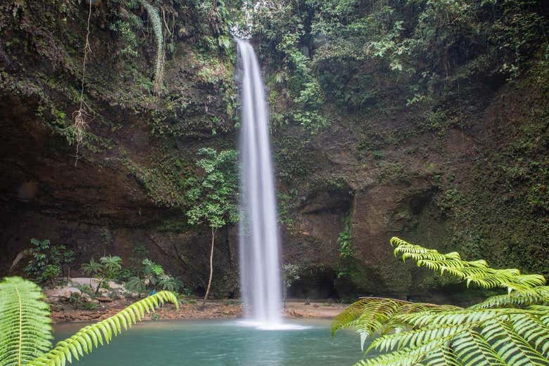 Welcome to Charco Azul!