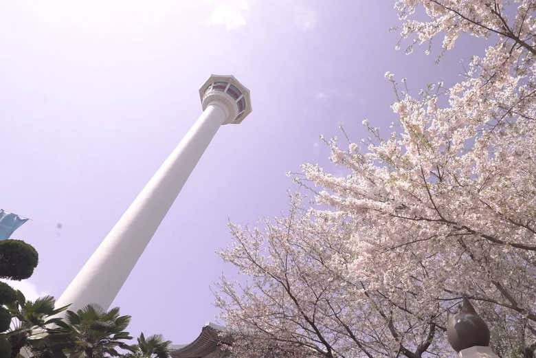 Busan Tower