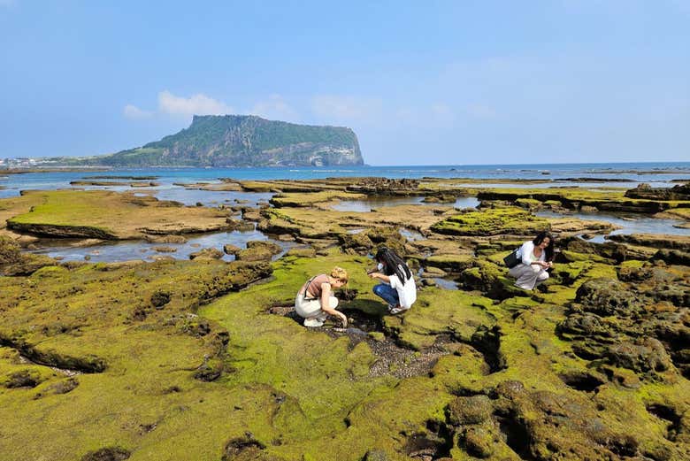 Tour Dell'isola Di Jeju - Prenota Online Su Civitatis.com