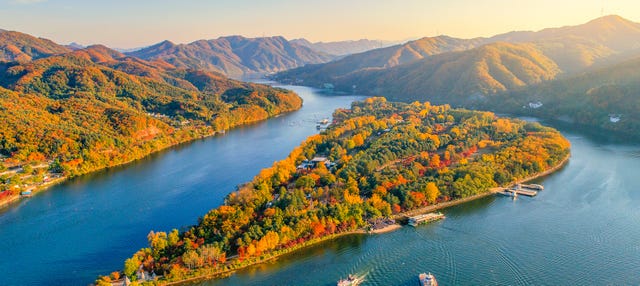 Nami Island Day Trip