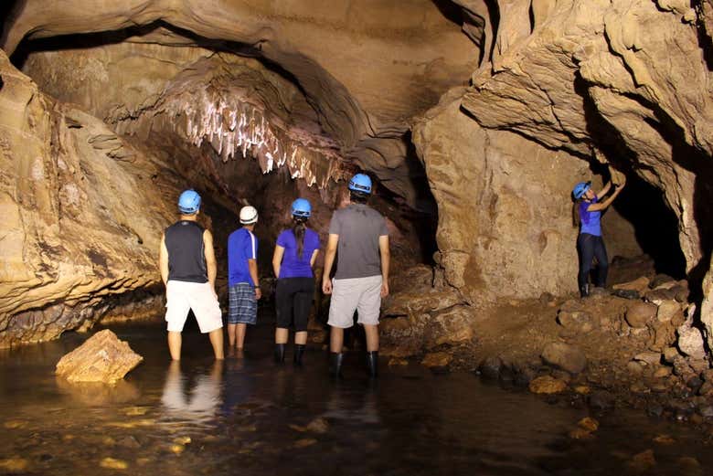 Contemple as estalagmites da Caverna do Venado