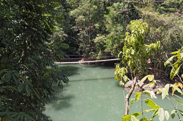 Río Agujitas Farm Tour