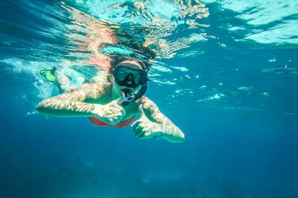 Snorkel en la Isla del Caño