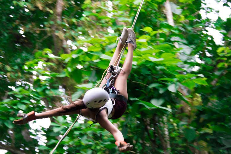 Zip line in the jungle