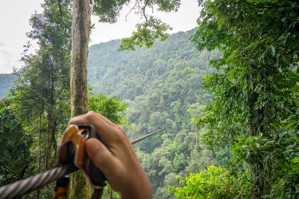 Rainforest Ziplining