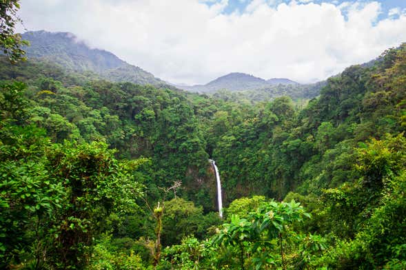 Waterfall Rappelling at La Roca Canyoning