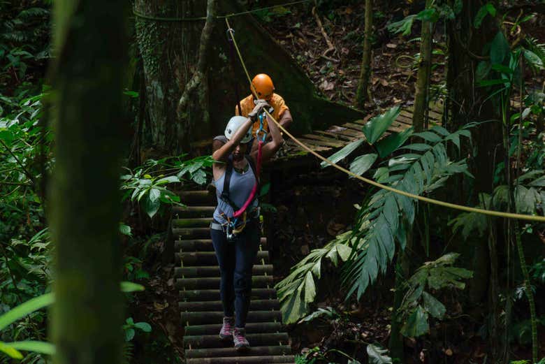 Zipline + Abseiling in Puerto Viejo de Limón - Civitatis.com