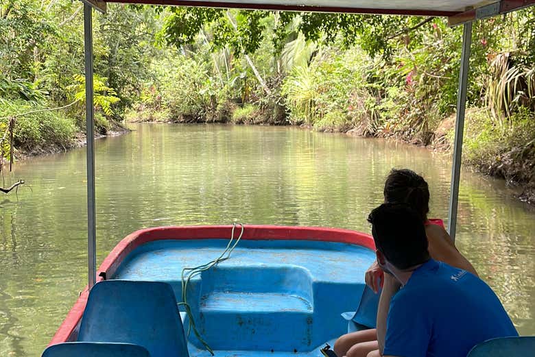 Dentro do bote pelos manguezais.