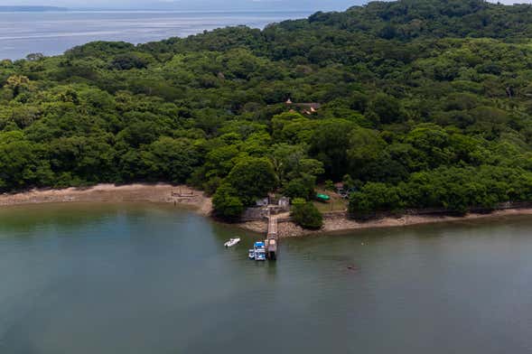 Excursión al Parque Nacional Isla San Lucas