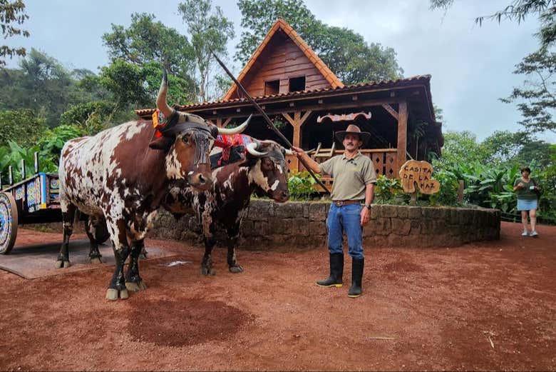 Explore the Costa Rican Central Valley