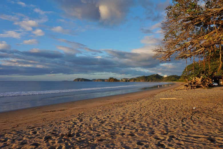 13 Day Tour of Costa Rica from San José - Book at Civitatis.com