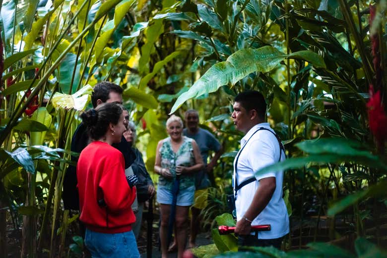 Conociendo la biodiversidad del Parque Nacional Tortuguero