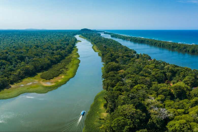 Veduta aerea dei canali di Tortuguero