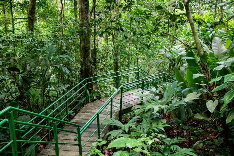 Come on this hike of Cerro Tortuguero