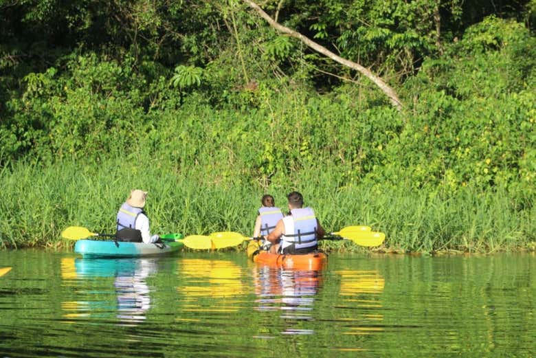 Admire nature during this kayak tour