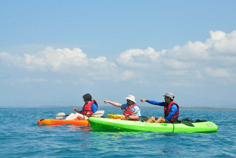 Kayaking & Snorkeling in Biesanz Bay from Uvita - Civitatis.com