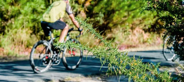 Lumbarda Bike & Wine Tasting Tour, Korčula - Civitatis.com