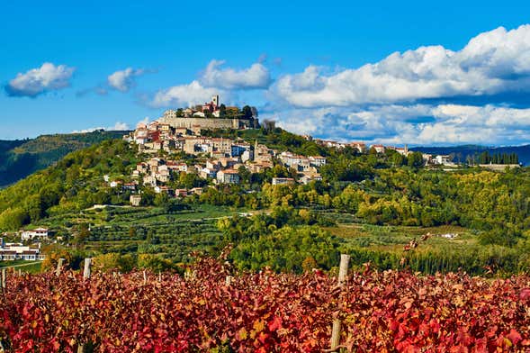 Istria Food Tour