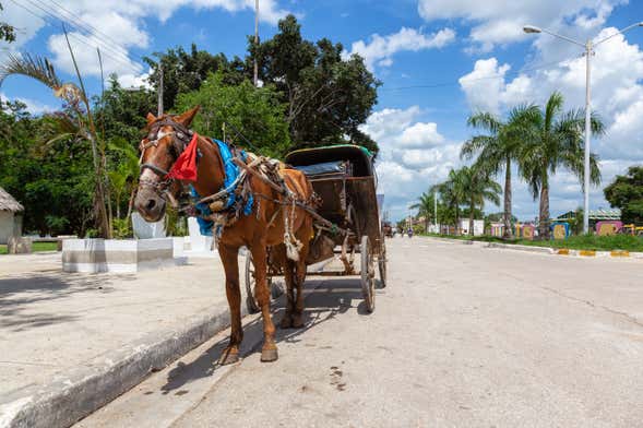 Tour del tabaco, el ron y el azúcar