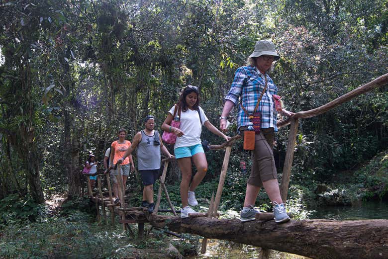 Alla scoperta del parco Guanayara