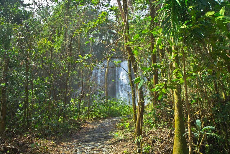 El Nicho Waterfalls Excursion from Cienfuegos - Civitatis.com