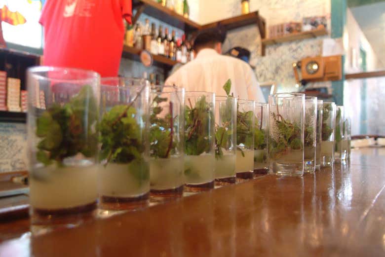 Taste an authentic mojito