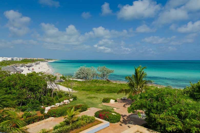 Panorámica de la vegetación en Cayo Santa María