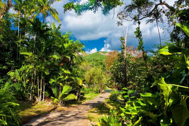 Excursão a Las Terrazas e Salto de Soroa saindo de La Habana, Havana ...