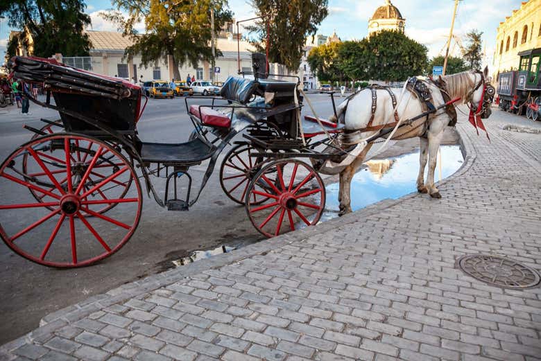 Medio de transporte de la colonia en La Habana