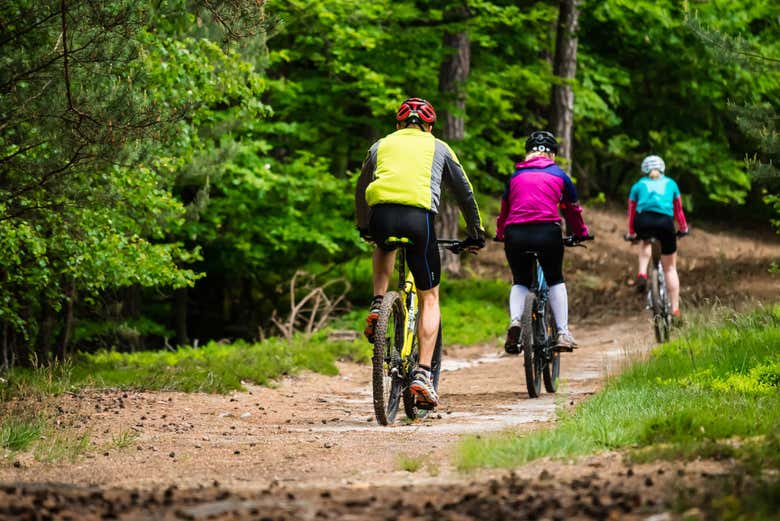 Pedalando pelo bosque de Havana