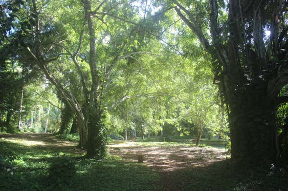 Excursão aos Jardins Hershey de moto