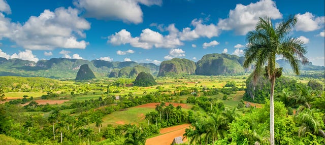 Viñales Excursion