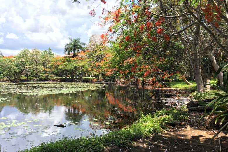 Parque Nacional Ciénaga de Zapata