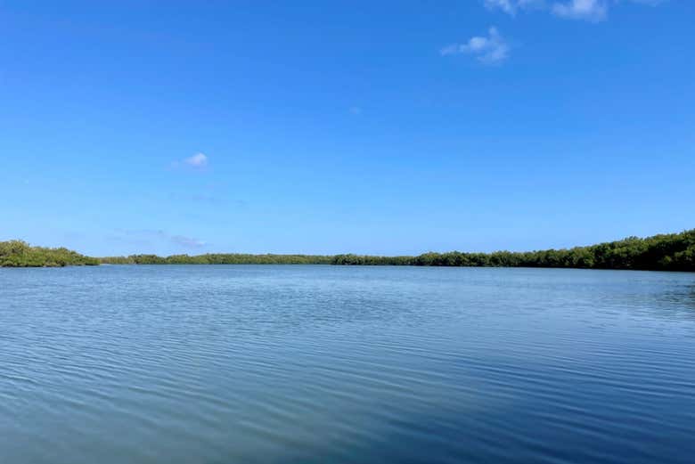 The Laguna de Maya