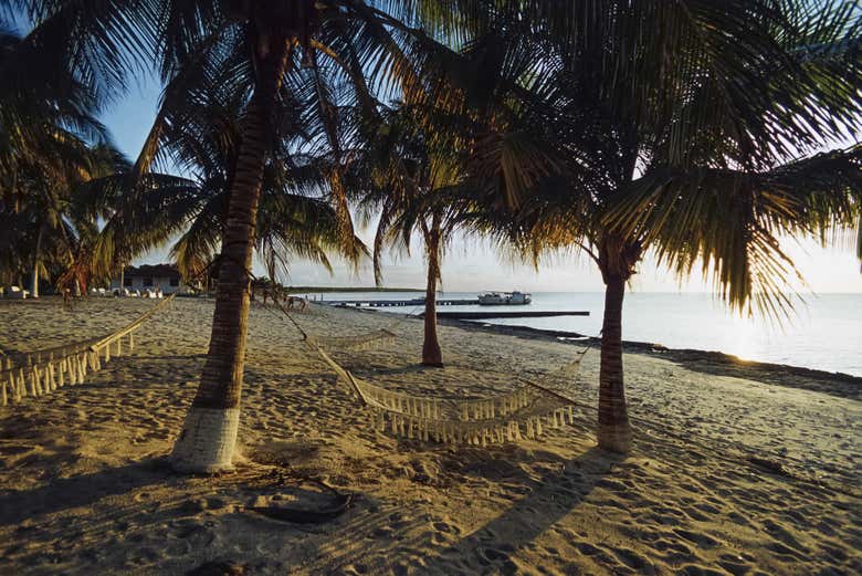 Palmeras de la playa María la Gorda