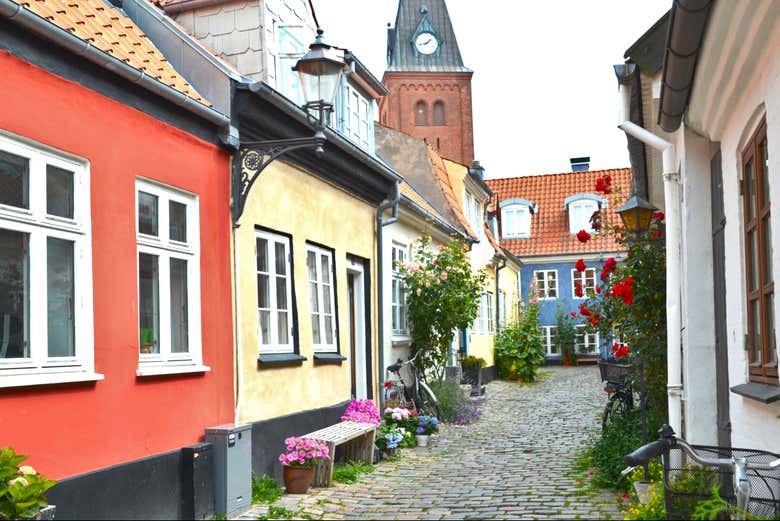 Aalborg Private Walking Tour - Book Online At Civitatis.com