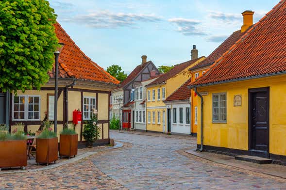 Odense Private Walking Tour - Book Online at Civitatis.com